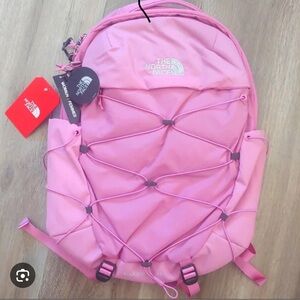 The Northface Backpack Evening Pink
